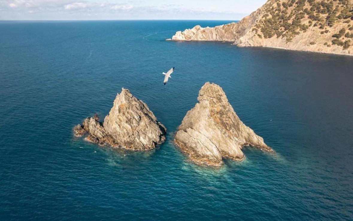 Appartement Pied Dans L'Eau ラ・セーヌ・シュル・メール エクステリア 写真